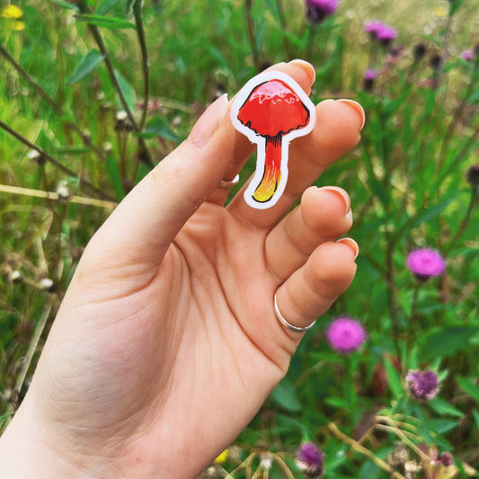 Crimson Waxcap Vinyl Sticker