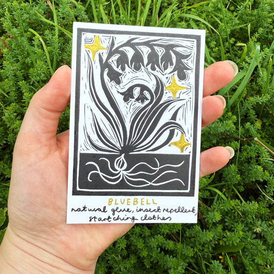 Bluebell | Wonderful Weeds Print