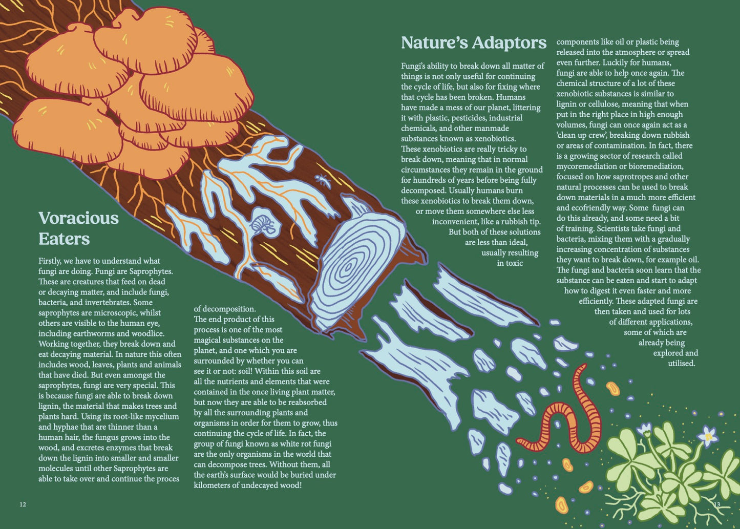 The Myconauts Magazine: Issue 3 'Death & Rebirth'