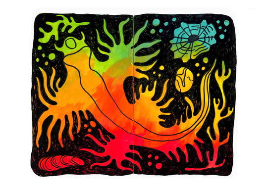 Nudibranch Postcard Print