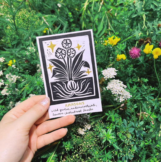 Ramsons | Wonderful Weeds Print