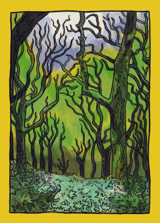 Forest Clearing Print